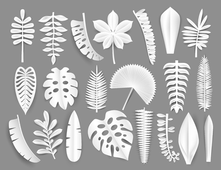 Tropical white paper cut leaves. Trendy summer exotic plants elemets with shadow isolated on grey background. Origamy style vector illustration.のイラスト素材