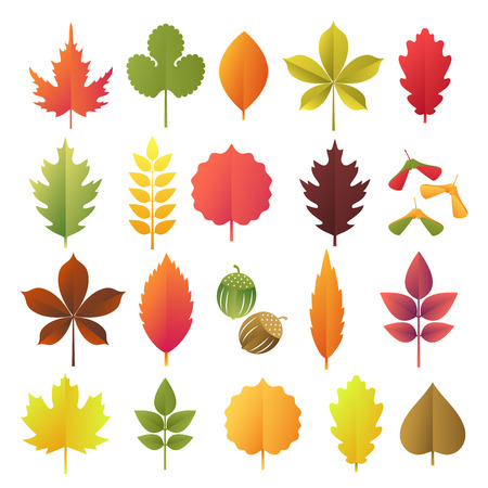 Paper cut autumn leaves set. Fall leaves colorful paper collection. Vector illustrationのイラスト素材