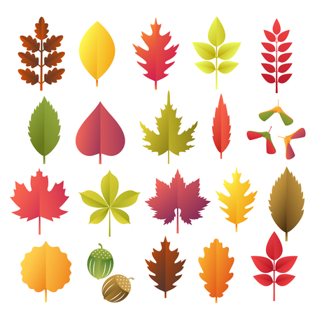 Paper cut autumn leaves set. Fall leaves colorful paper collection. Vector illustrationのイラスト素材