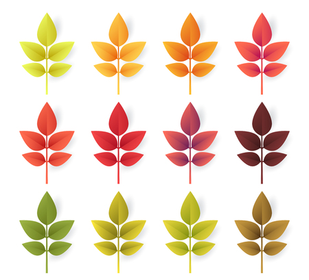 Colorful autumn leaves set isolated on white background. Paper cut 3d flat style, vector illustration.のイラスト素材