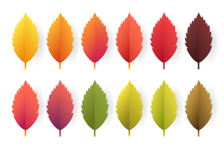 Paper cut autumn leaves set. Fall leaves colorful paper collection.の写真素材
