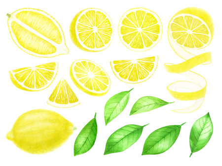 Fresh Lemon fruits whole and sliced. Citrus with leaves isolated on white background.  hand drawn illustration.の写真素材