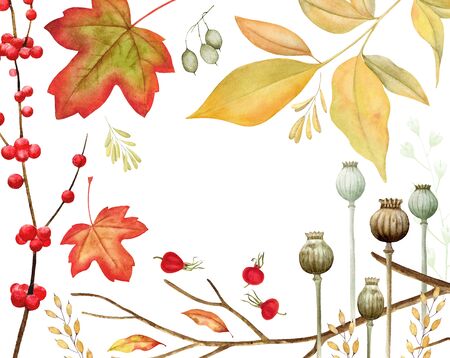 Autumn leaves frame isolated on white background.Tulip tree, oak, maple, ash, birch,beech, grapes decorative set. Leaf fall elements for Thanksgiving, Halloween and autumn holidays design.の写真素材