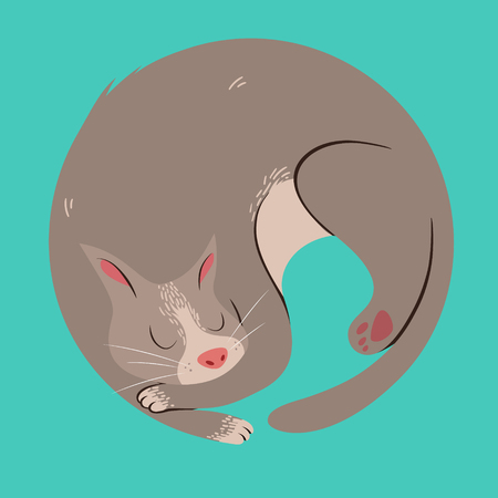 Cute Sleeping Curled Up Cat Vector Illustrationのイラスト素材