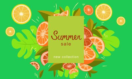 Fresh Citrus Fruits Explosion Summer Poster Compositionのイラスト素材