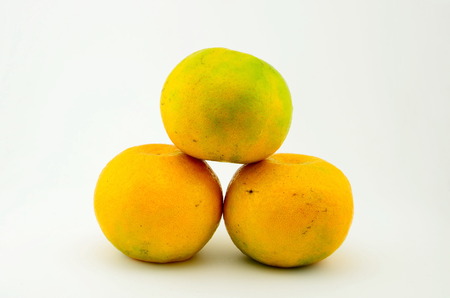 Three fresh ripe oranges with wihte backgroundの写真素材
