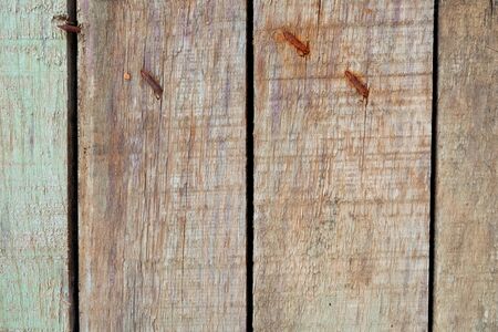 Wood background textureの写真素材