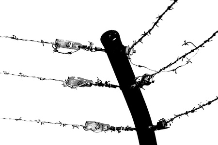 shadow barb wireの写真素材
