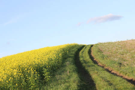 farming ground