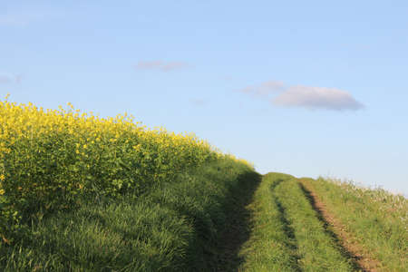 farming ground