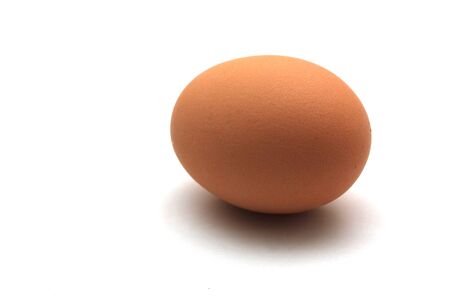 a plain eggの写真素材