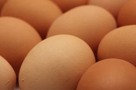 plain eggsの写真素材