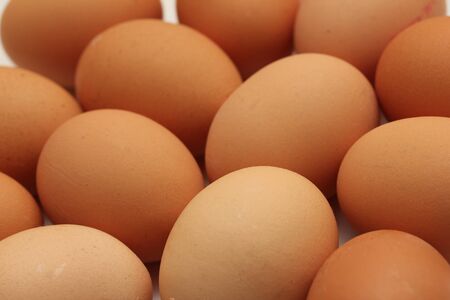 plain eggsの写真素材