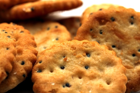 salty crackersの写真素材