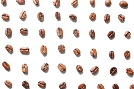 coffee beans in rowsの写真素材