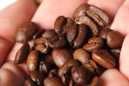coffe beans handの写真素材