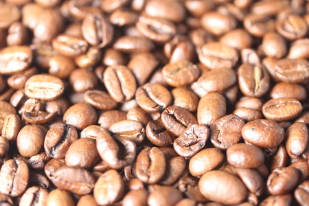 light coffee beansの写真素材