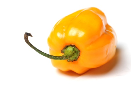 yellow isolated habaneroの写真素材