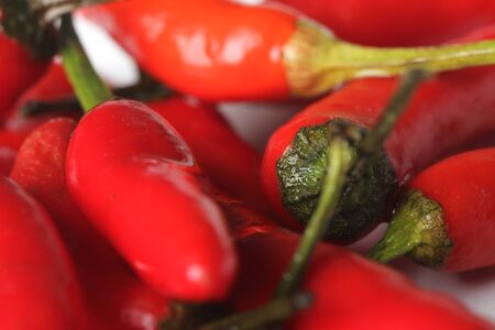 red chilliesの写真素材