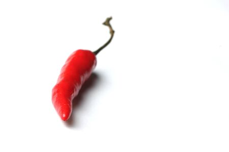 isolated red chillieの写真素材