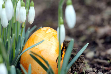 easter egg