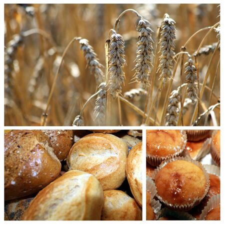 wheat an bakery products mixの写真素材