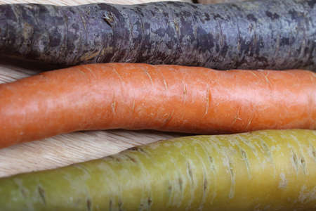 different carrots