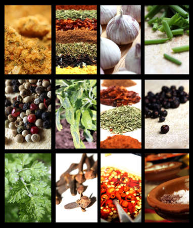 big spices picture mixの写真素材