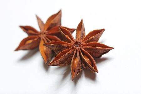 isolated star aniseの写真素材