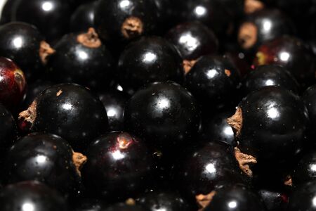 black currants background