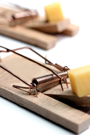 mouse trap with cheese