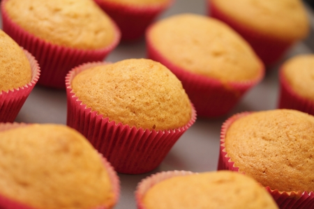 raw cupcakesの写真素材