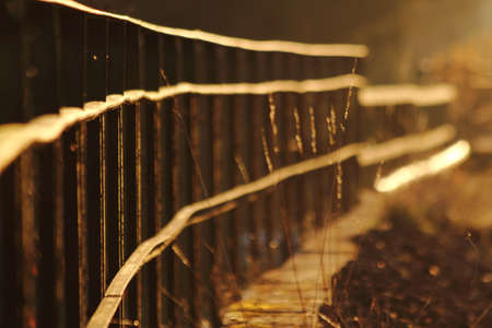 lonly railway tracks on a golden autumn dayの写真素材