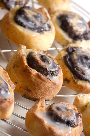 glaced poppy snailsの写真素材