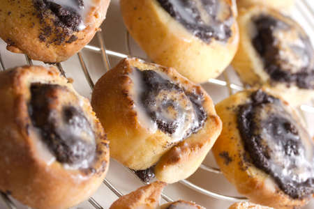 glaced poppy snailsの写真素材