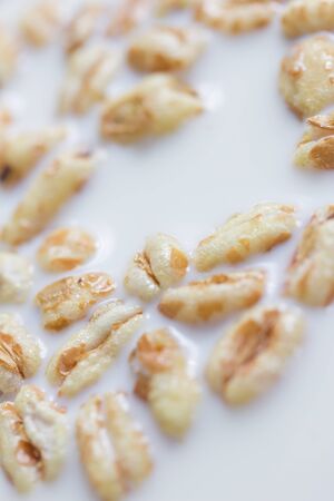 breakfast honey puffs in milkの写真素材