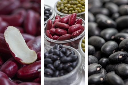 dried beans collection