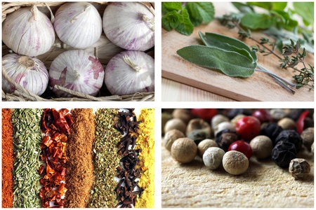 spices picture collectionの写真素材