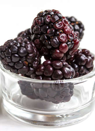 isolated blackberriesの写真素材