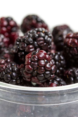 isolated blackberries