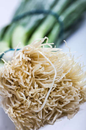 spring onionsの写真素材