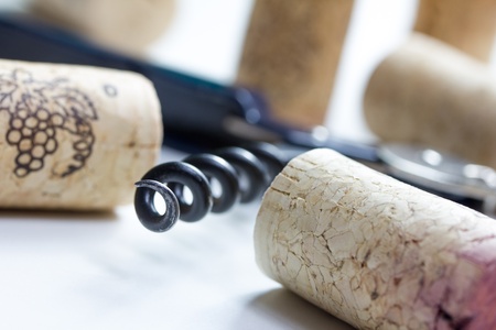 isolated corkscrewの写真素材