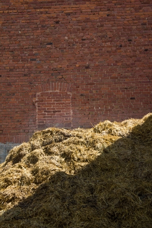 hay on a farm