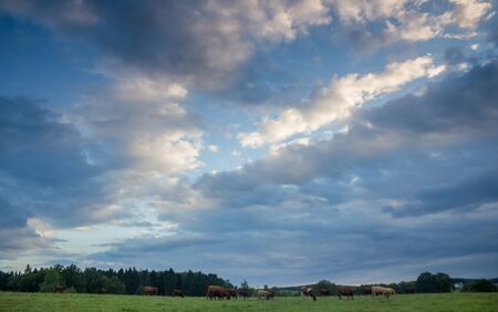 countryside eveningの写真素材