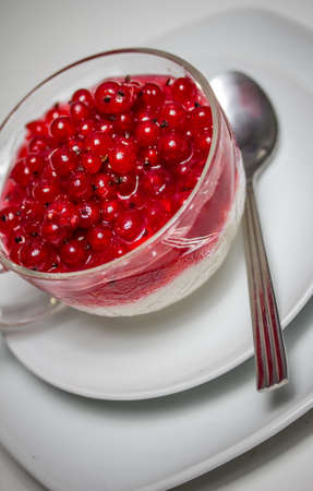 currants dessertの写真素材