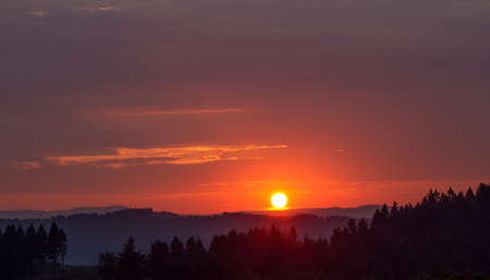 countryside forest hills sunriseの写真素材