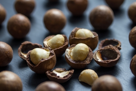 macadamia nutsの写真素材