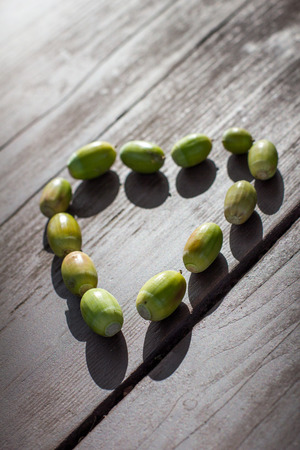 autumn acorn heartの写真素材