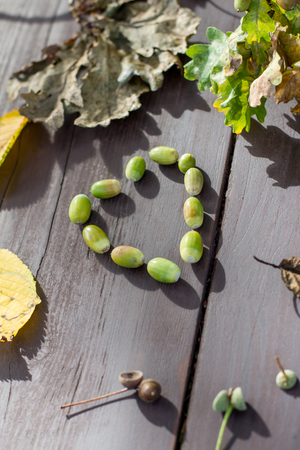 autumn acorn heartの写真素材