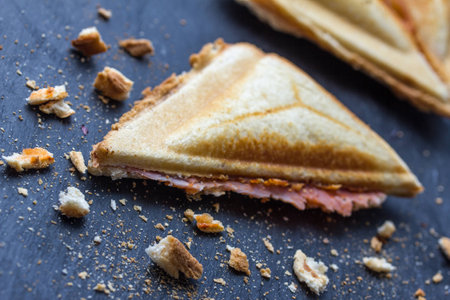 crispy sandwichesの写真素材